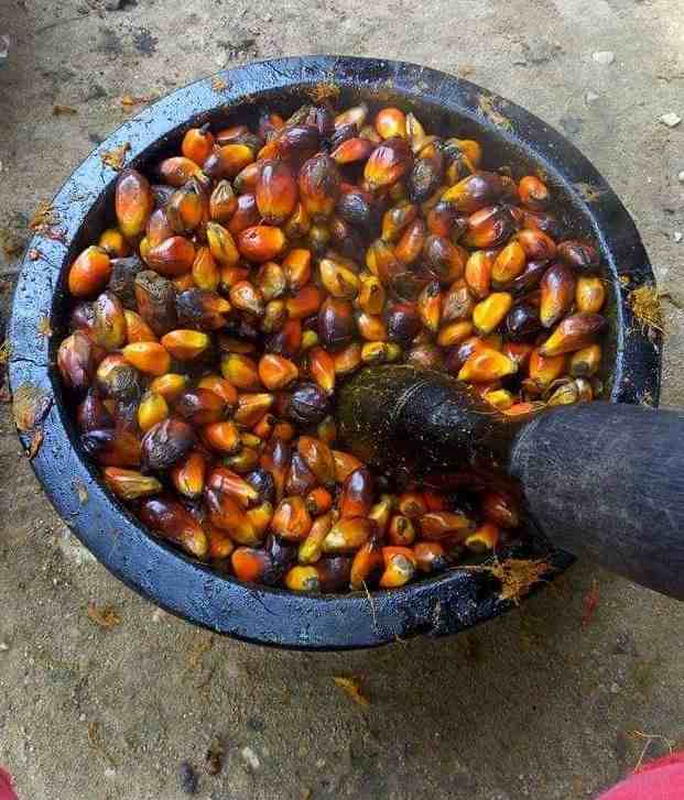 How Palm Oil is Produced Locally in Nigeria